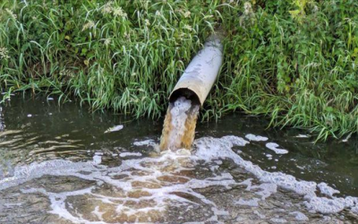 Recent government initiatives