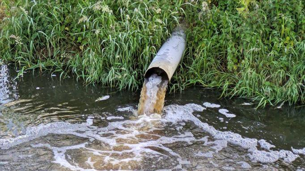 Recent government initiatives