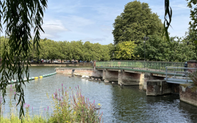 Updates to Riverfield Community