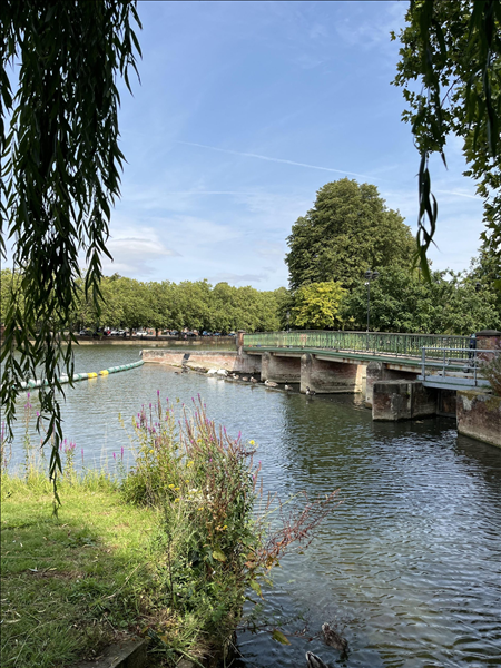 Updates to Riverfield Community